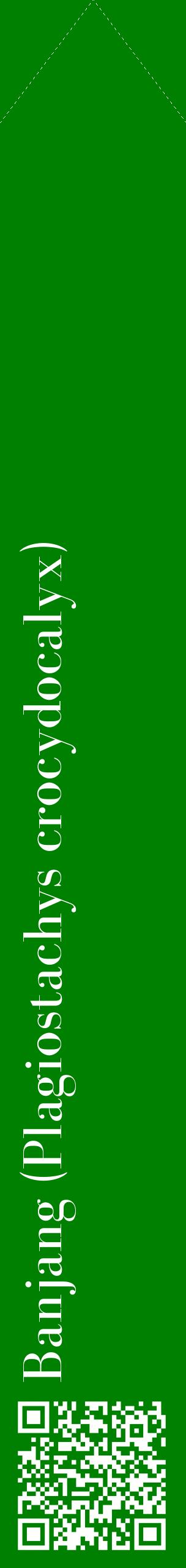 Étiquette de : Plagiostachys crocydocalyx - format c - style blanche9_simplebod avec qrcode et comestibilité