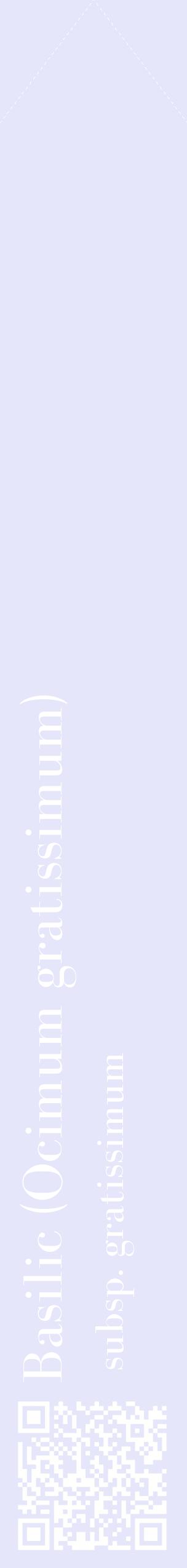 Étiquette de : Ocimum gratissimum subsp. gratissimum - format c - style blanche55_simplebod avec qrcode et comestibilité