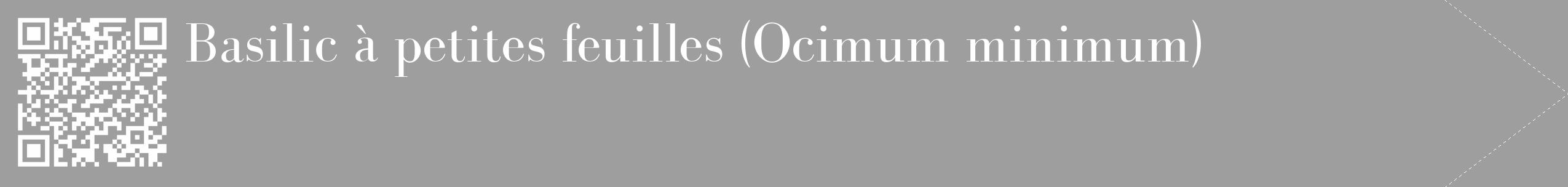 Étiquette de : Ocimum minimum - format c - style blanche23_simple_simplebod avec qrcode et comestibilité