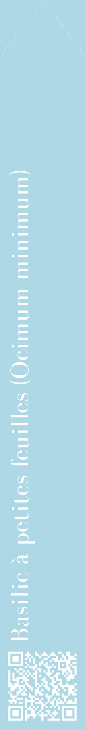 Étiquette de : Ocimum minimum - format c - style blanche0_simplebod avec qrcode et comestibilité