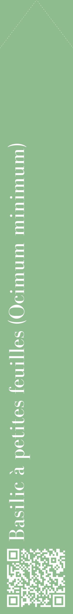 Étiquette de : Ocimum minimum - format c - style blanche13_simplebod avec qrcode et comestibilité