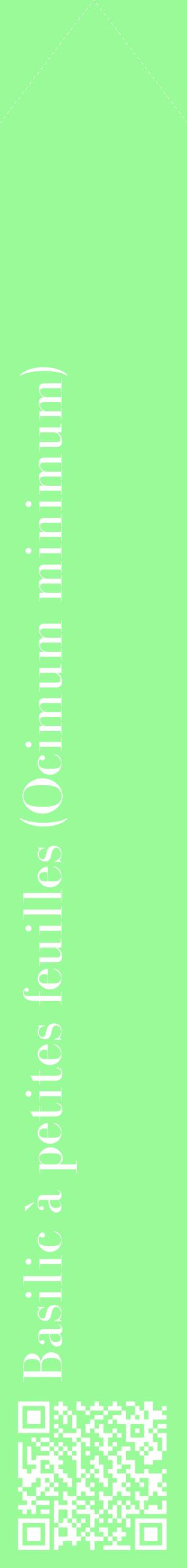 Étiquette de : Ocimum minimum - format c - style blanche14_simplebod avec qrcode et comestibilité