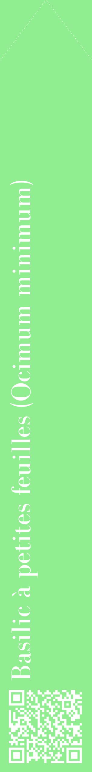 Étiquette de : Ocimum minimum - format c - style blanche15_simplebod avec qrcode et comestibilité