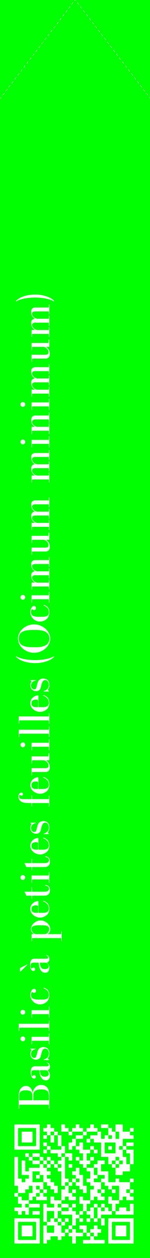 Étiquette de : Ocimum minimum - format c - style blanche16_simplebod avec qrcode et comestibilité