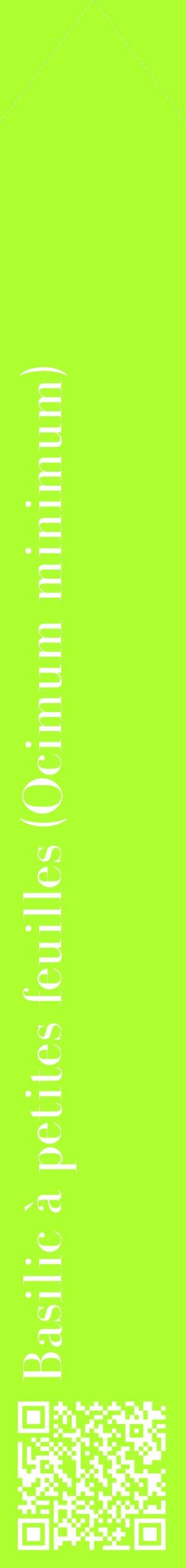 Étiquette de : Ocimum minimum - format c - style blanche17_simplebod avec qrcode et comestibilité