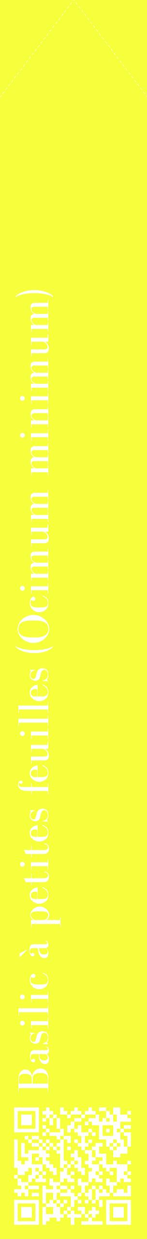 Étiquette de : Ocimum minimum - format c - style blanche18_simplebod avec qrcode et comestibilité