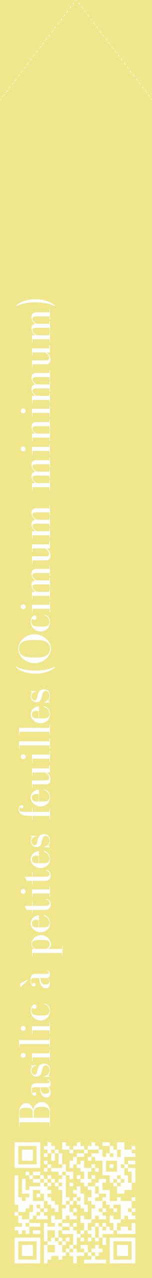 Étiquette de : Ocimum minimum - format c - style blanche20_simplebod avec qrcode et comestibilité