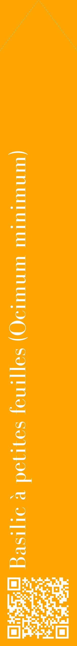Étiquette de : Ocimum minimum - format c - style blanche22_simplebod avec qrcode et comestibilité