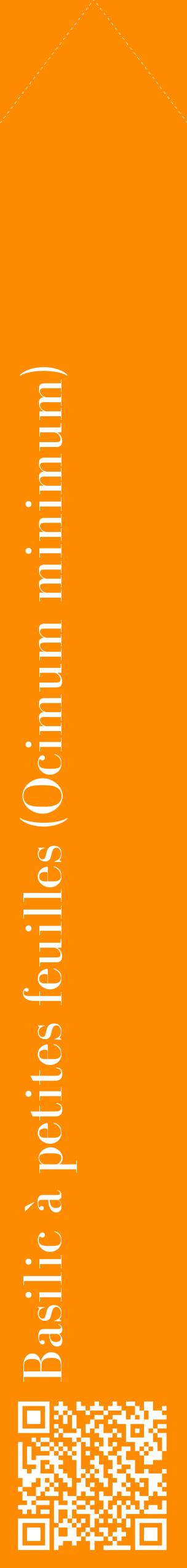 Étiquette de : Ocimum minimum - format c - style blanche23_simplebod avec qrcode et comestibilité