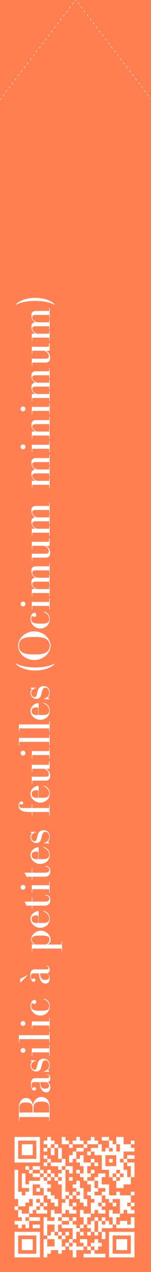 Étiquette de : Ocimum minimum - format c - style blanche24_simplebod avec qrcode et comestibilité