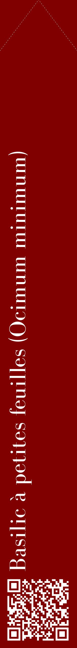 Étiquette de : Ocimum minimum - format c - style blanche29_simplebod avec qrcode et comestibilité