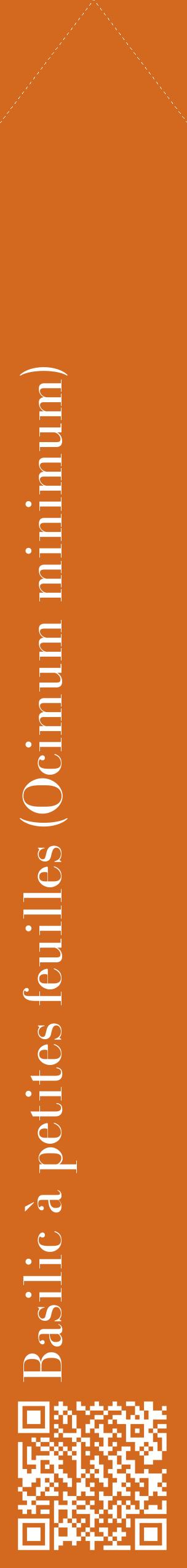 Étiquette de : Ocimum minimum - format c - style blanche31_simplebod avec qrcode et comestibilité