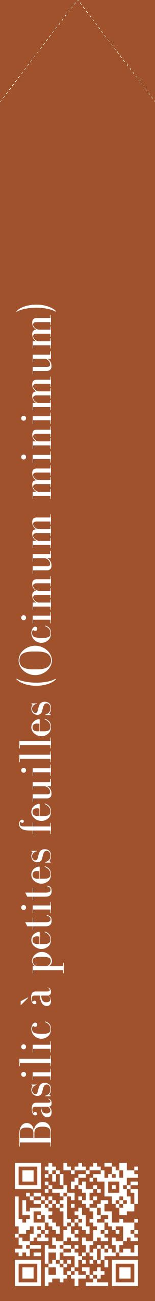 Étiquette de : Ocimum minimum - format c - style blanche32_simplebod avec qrcode et comestibilité