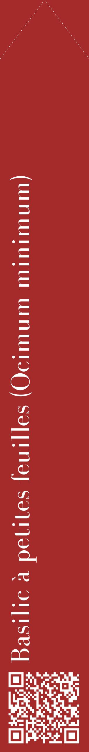 Étiquette de : Ocimum minimum - format c - style blanche33_simplebod avec qrcode et comestibilité