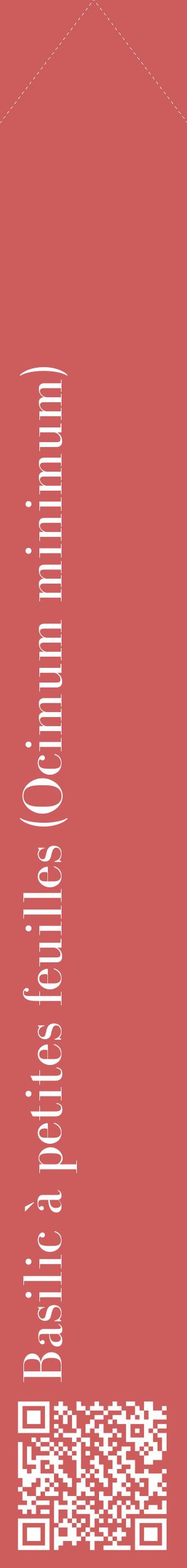 Étiquette de : Ocimum minimum - format c - style blanche35_simplebod avec qrcode et comestibilité