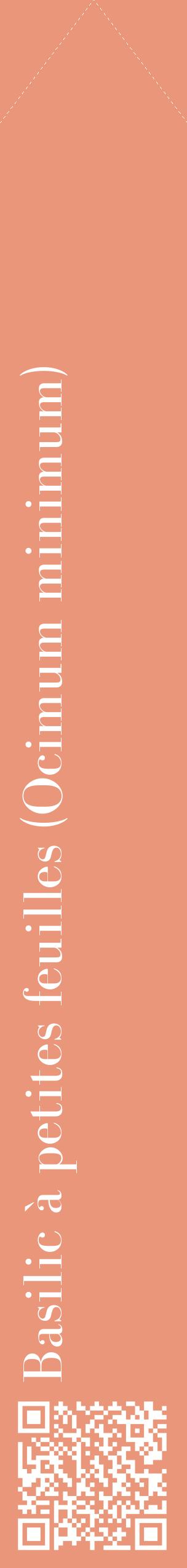 Étiquette de : Ocimum minimum - format c - style blanche37_simplebod avec qrcode et comestibilité