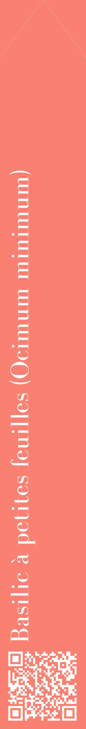 Étiquette de : Ocimum minimum - format c - style blanche38_simplebod avec qrcode et comestibilité
