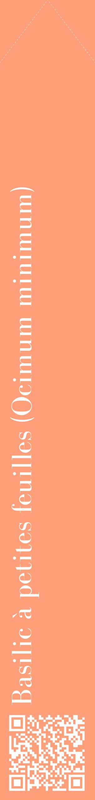 Étiquette de : Ocimum minimum - format c - style blanche39_simplebod avec qrcode et comestibilité