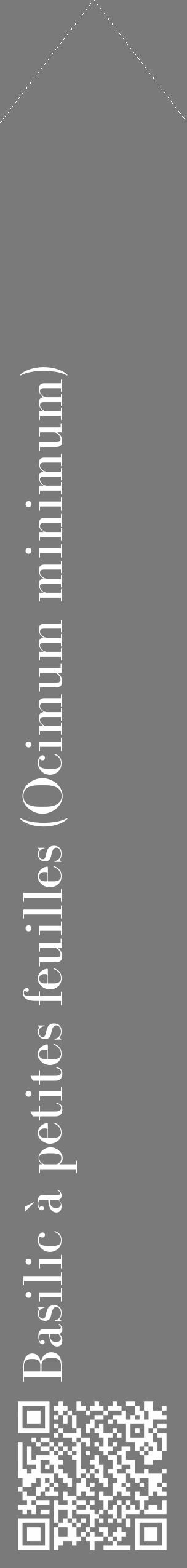 Étiquette de : Ocimum minimum - format c - style blanche3_simple_simplebod avec qrcode et comestibilité - position verticale