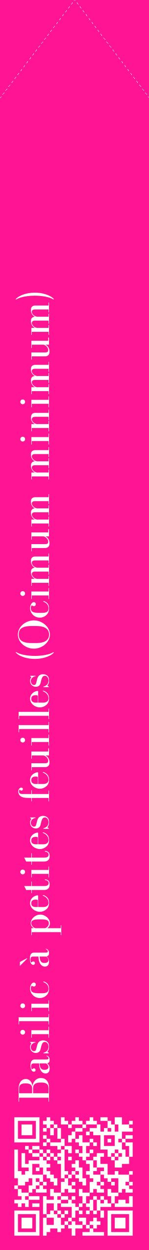 Étiquette de : Ocimum minimum - format c - style blanche43_simplebod avec qrcode et comestibilité