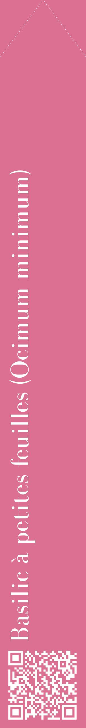 Étiquette de : Ocimum minimum - format c - style blanche44_simplebod avec qrcode et comestibilité