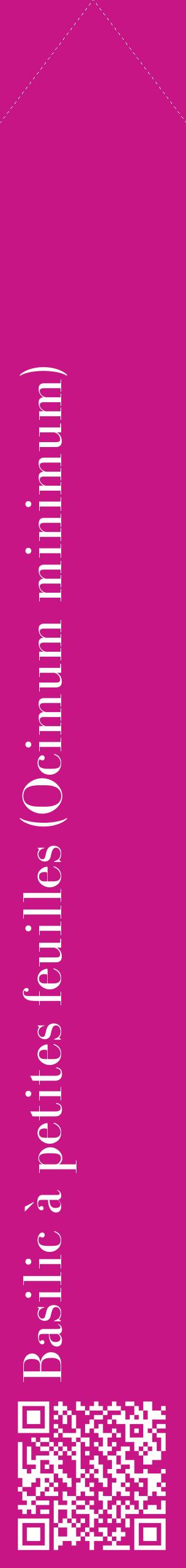 Étiquette de : Ocimum minimum - format c - style blanche45_simplebod avec qrcode et comestibilité