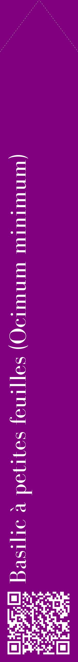 Étiquette de : Ocimum minimum - format c - style blanche46_simplebod avec qrcode et comestibilité