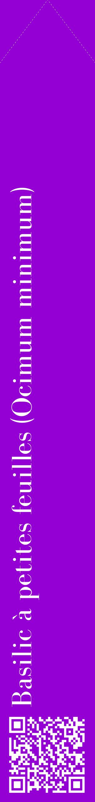 Étiquette de : Ocimum minimum - format c - style blanche48_simplebod avec qrcode et comestibilité