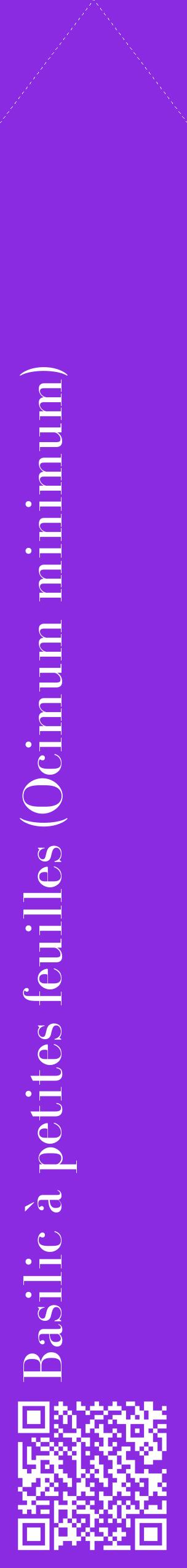 Étiquette de : Ocimum minimum - format c - style blanche49_simplebod avec qrcode et comestibilité