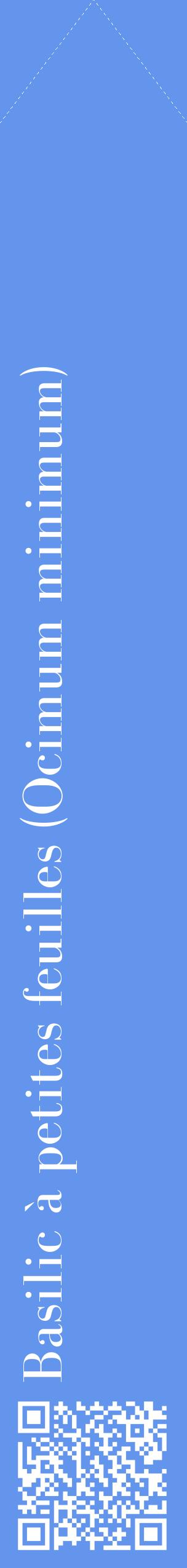 Étiquette de : Ocimum minimum - format c - style blanche4_simplebod avec qrcode et comestibilité