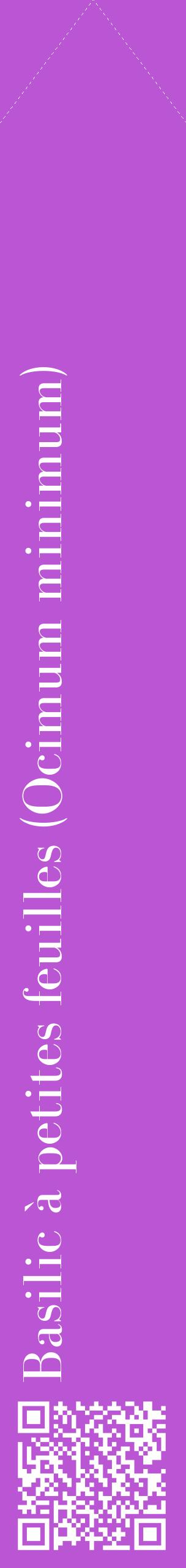 Étiquette de : Ocimum minimum - format c - style blanche50_simplebod avec qrcode et comestibilité