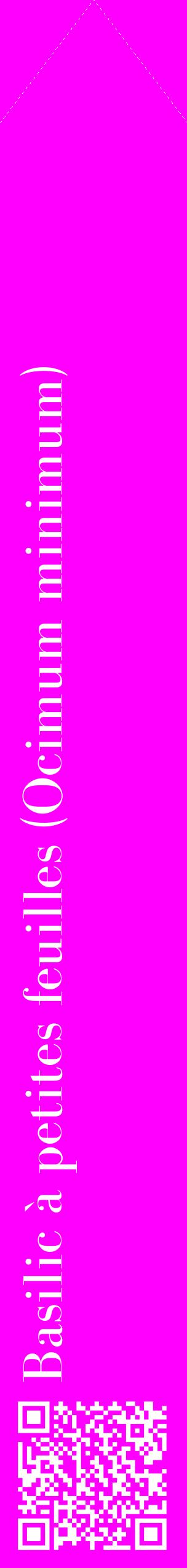 Étiquette de : Ocimum minimum - format c - style blanche51_simplebod avec qrcode et comestibilité