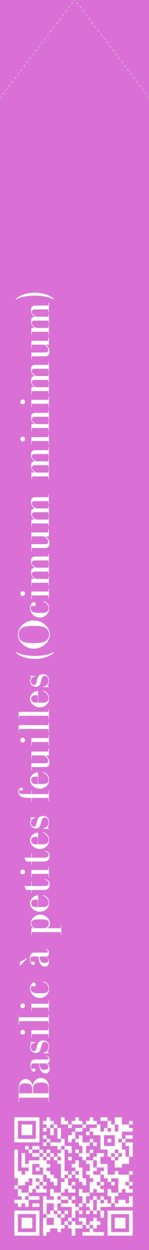 Étiquette de : Ocimum minimum - format c - style blanche52_simplebod avec qrcode et comestibilité