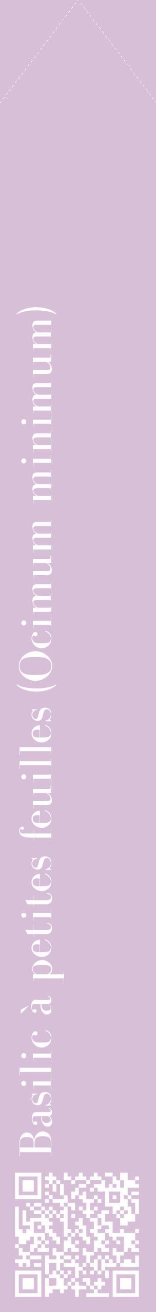 Étiquette de : Ocimum minimum - format c - style blanche54_simplebod avec qrcode et comestibilité