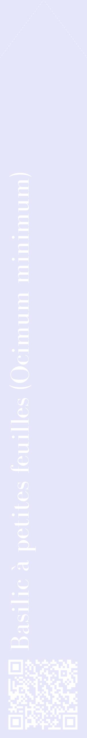 Étiquette de : Ocimum minimum - format c - style blanche55_simplebod avec qrcode et comestibilité