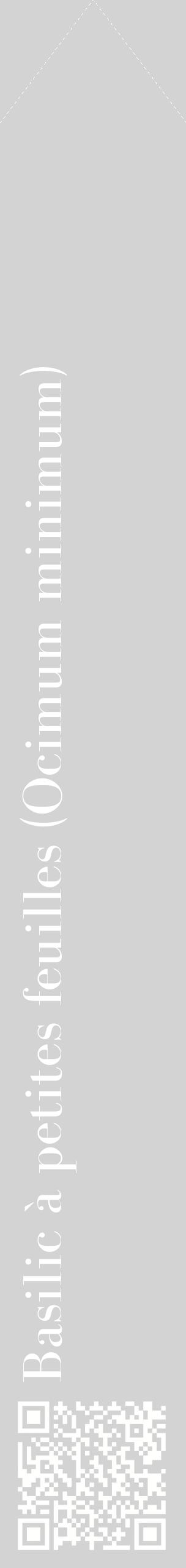 Étiquette de : Ocimum minimum - format c - style blanche56_simplebod avec qrcode et comestibilité