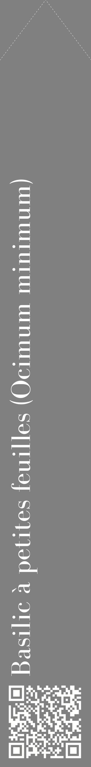 Étiquette de : Ocimum minimum - format c - style blanche57_simplebod avec qrcode et comestibilité