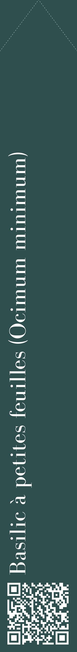 Étiquette de : Ocimum minimum - format c - style blanche58_simplebod avec qrcode et comestibilité