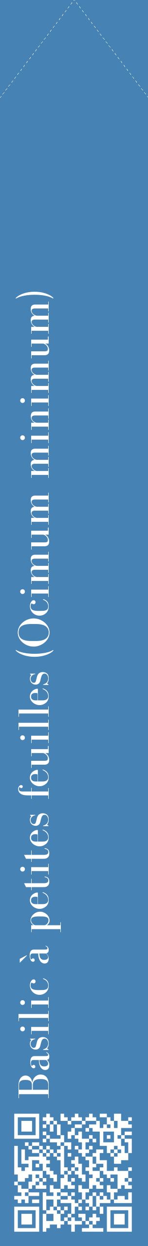 Étiquette de : Ocimum minimum - format c - style blanche5_simplebod avec qrcode et comestibilité