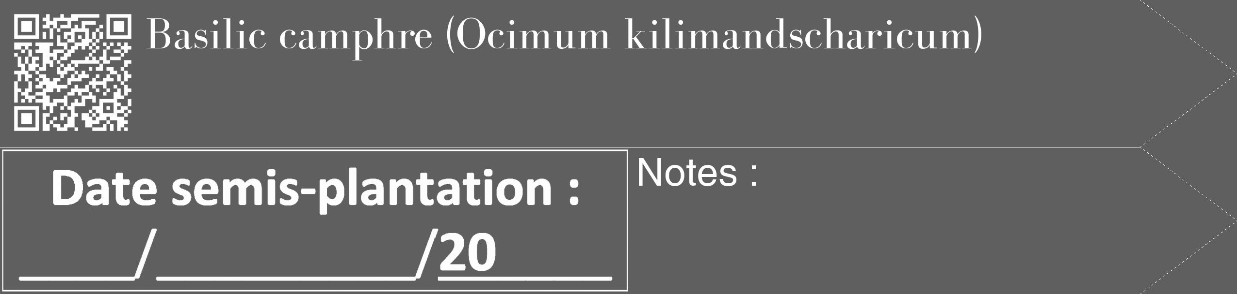 Étiquette de : Ocimum kilimandscharicum - format c - style blanche10_simple_simplebod avec qrcode et comestibilité