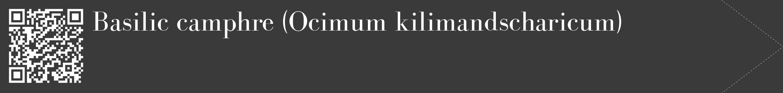 Étiquette de : Ocimum kilimandscharicum - format c - style blanche8_simple_simplebod avec qrcode et comestibilité