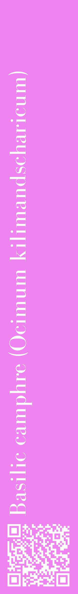 Étiquette de : Ocimum kilimandscharicum - format c - style blanche53_basiquebod avec qrcode et comestibilité