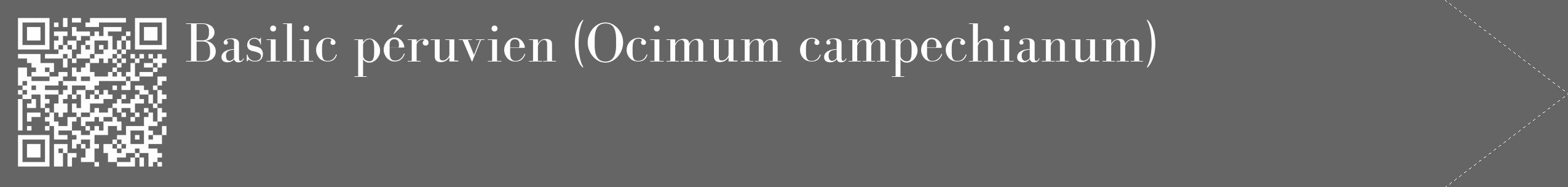 Étiquette de : Ocimum campechianum - format c - style blanche32_simple_simplebod avec qrcode et comestibilité