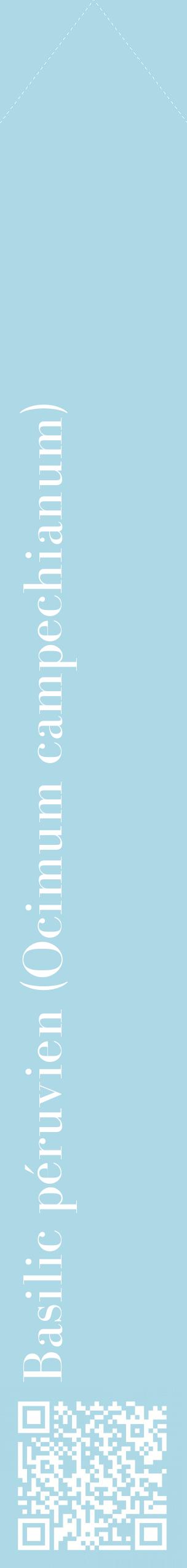Étiquette de : Ocimum campechianum - format c - style blanche0_simplebod avec qrcode et comestibilité