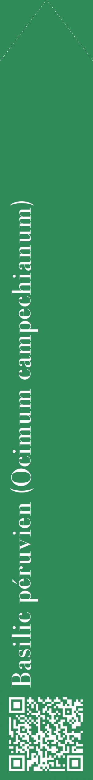 Étiquette de : Ocimum campechianum - format c - style blanche11_simplebod avec qrcode et comestibilité