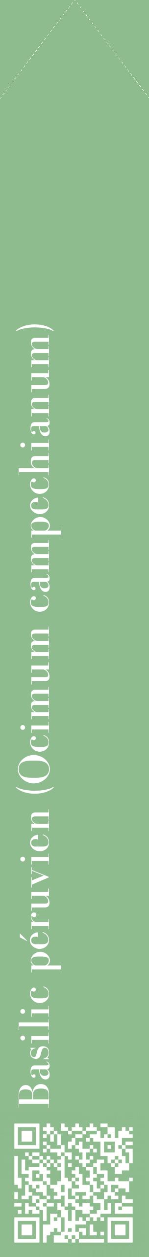 Étiquette de : Ocimum campechianum - format c - style blanche13_simplebod avec qrcode et comestibilité