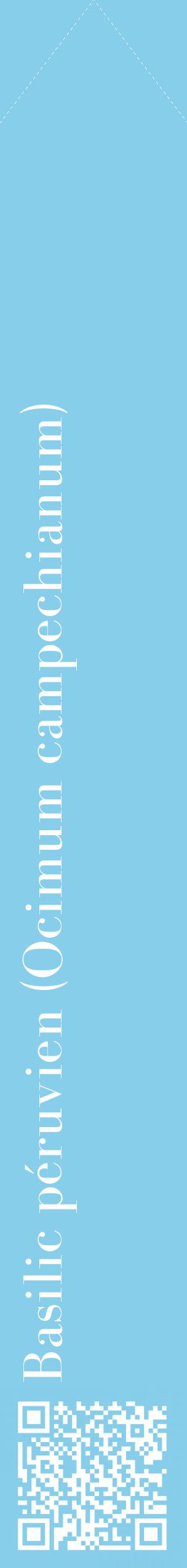 Étiquette de : Ocimum campechianum - format c - style blanche1_simplebod avec qrcode et comestibilité