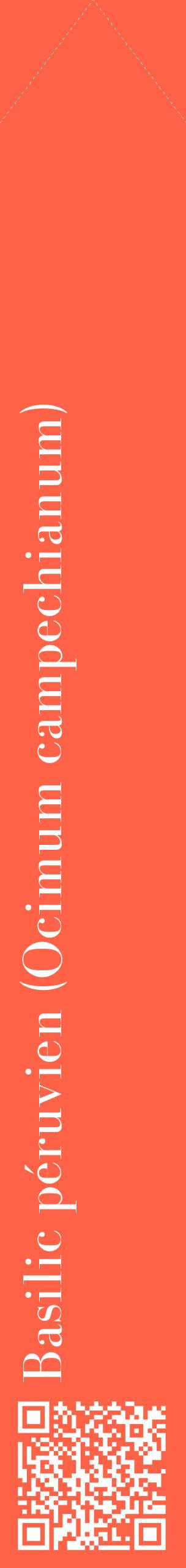 Étiquette de : Ocimum campechianum - format c - style blanche25_simplebod avec qrcode et comestibilité
