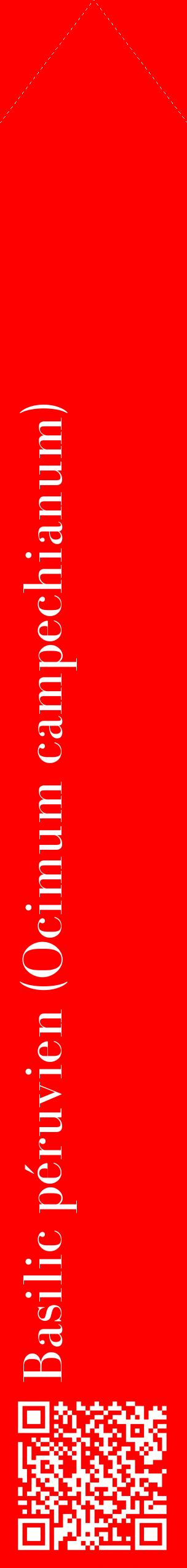 Étiquette de : Ocimum campechianum - format c - style blanche27_simplebod avec qrcode et comestibilité
