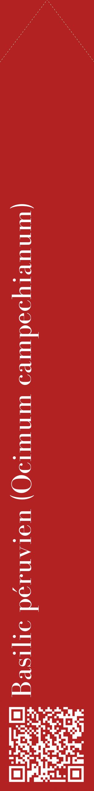 Étiquette de : Ocimum campechianum - format c - style blanche28_simplebod avec qrcode et comestibilité